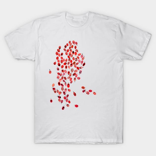 Ladybugs T-Shirt by ninoladesign